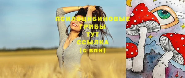 меф Зеленодольск