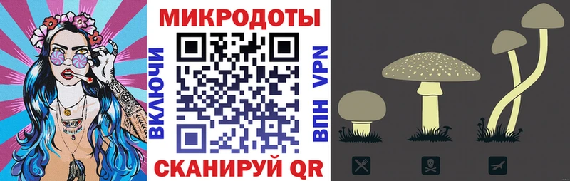 Галлюциногенные грибы ЛСД  Вяземский 